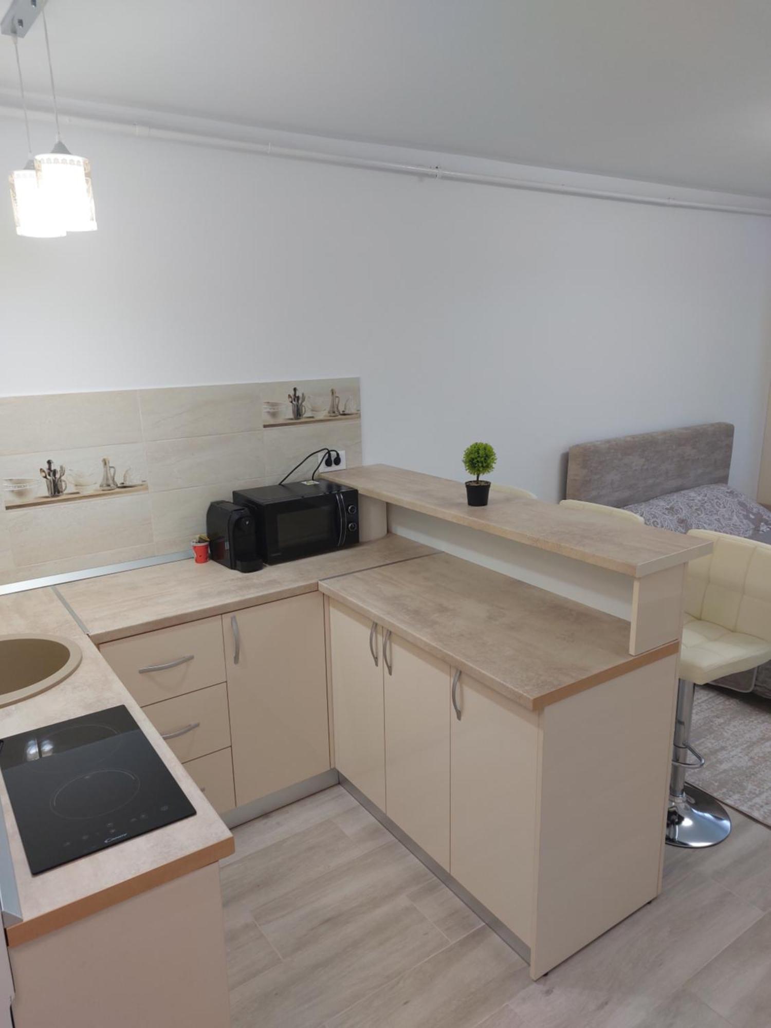 Rg Garsoniera Central Piatra Neamţ Exterior foto